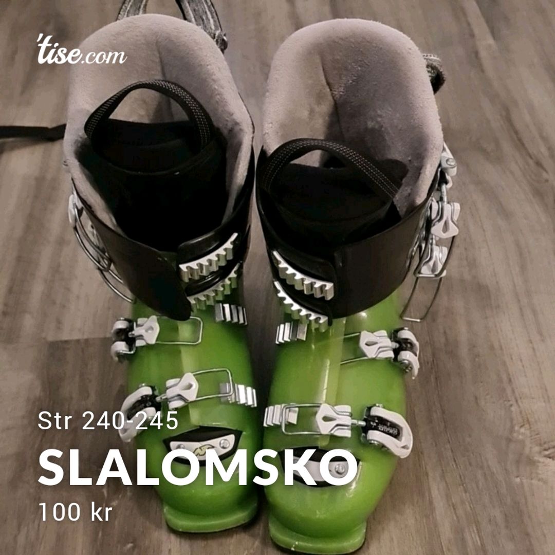 Slalomsko