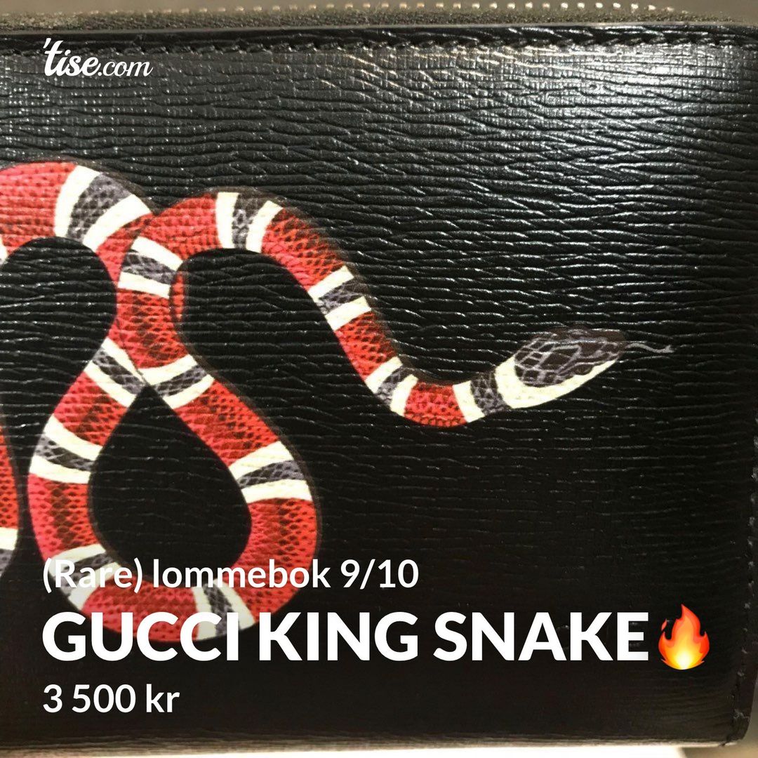 GUCCI King Snake🔥