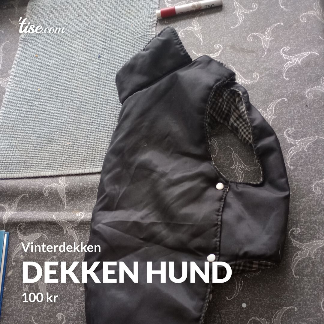 Dekken hund