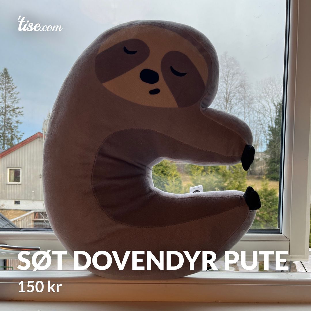 Søt dovendyr pute