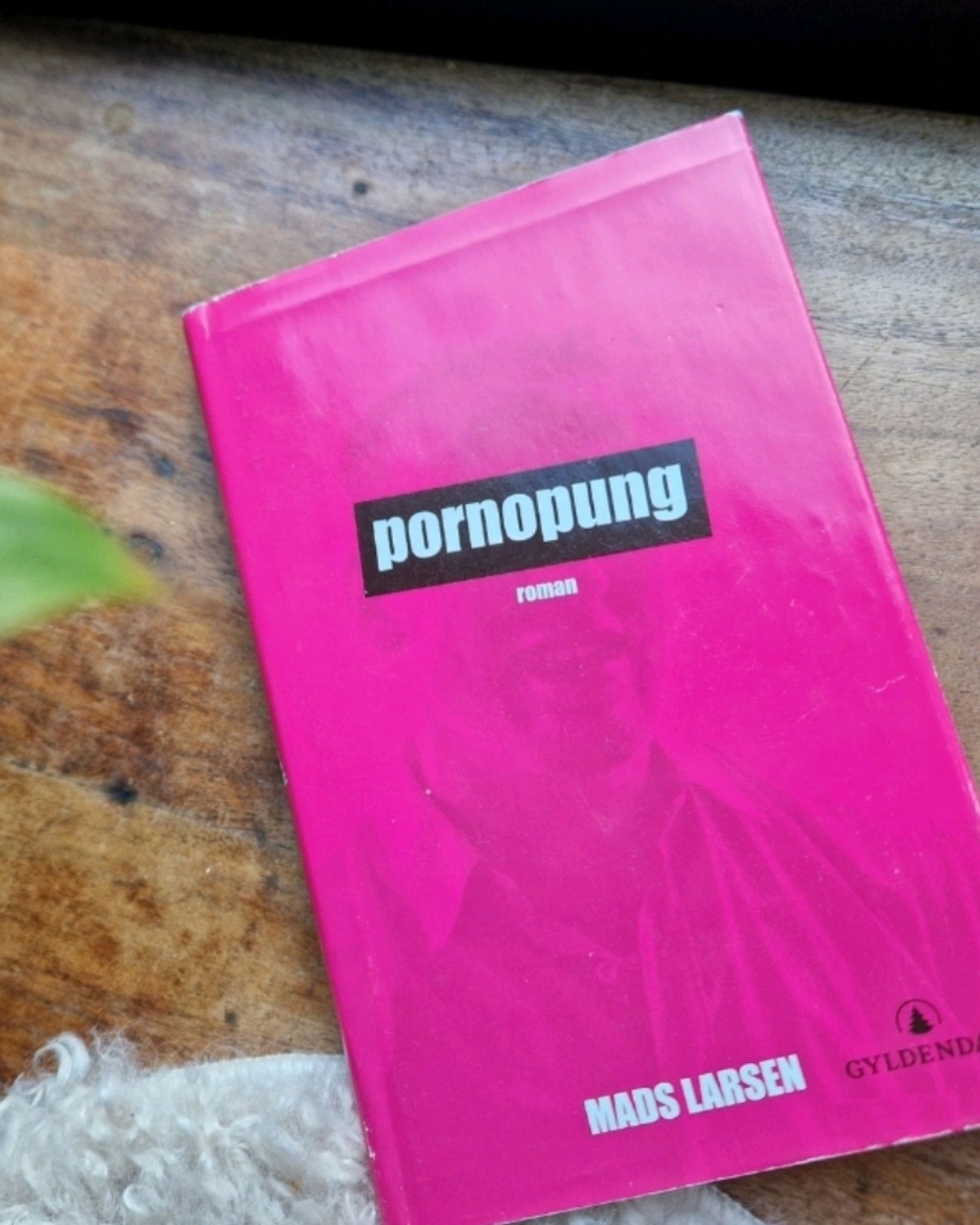 Pornopung