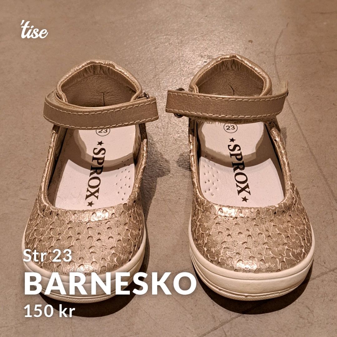 Barnesko