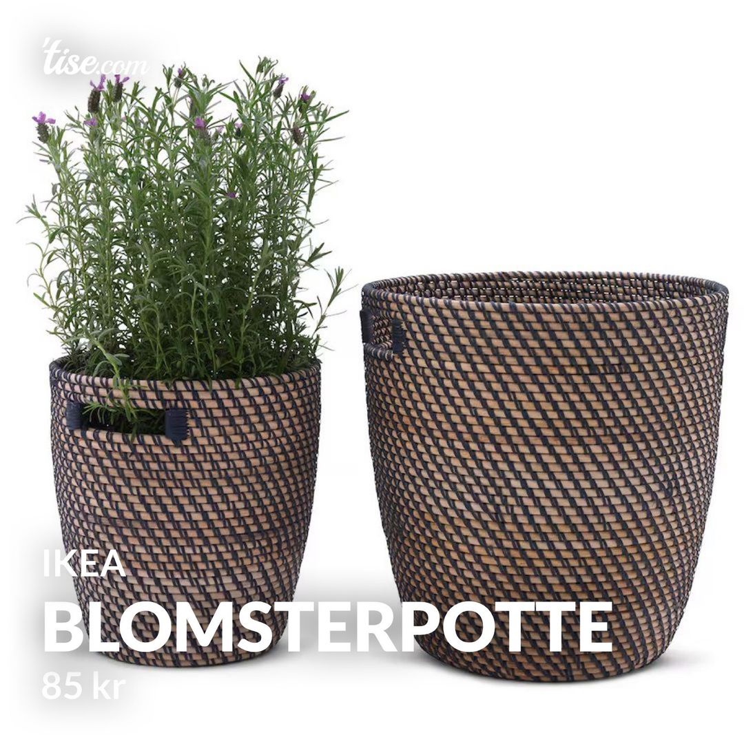 Blomsterpotte