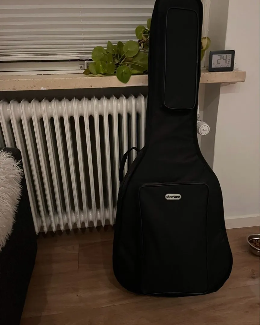 Guitar