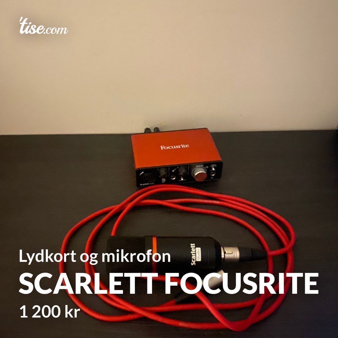 Scarlett focusrite