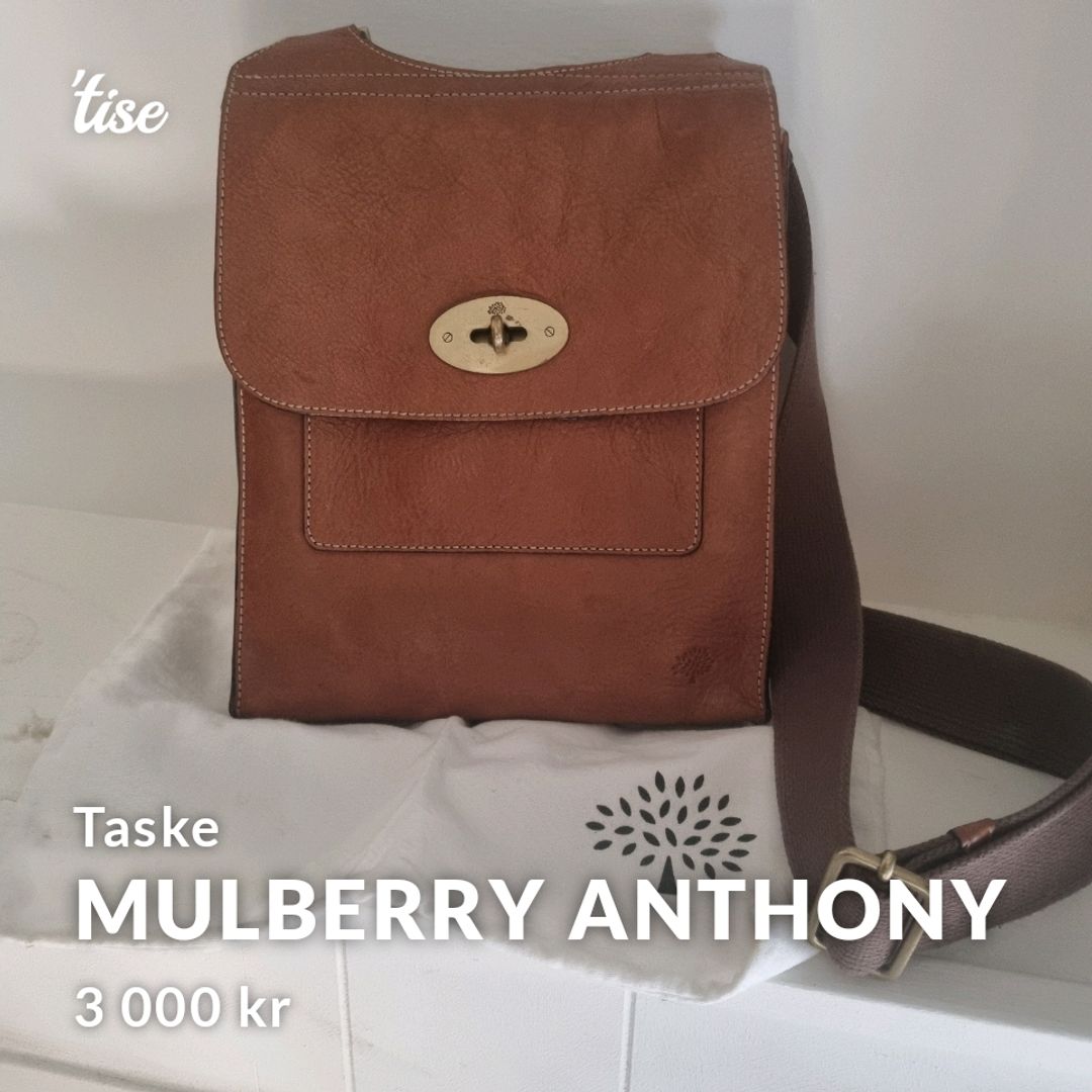 Mulberry Anthony