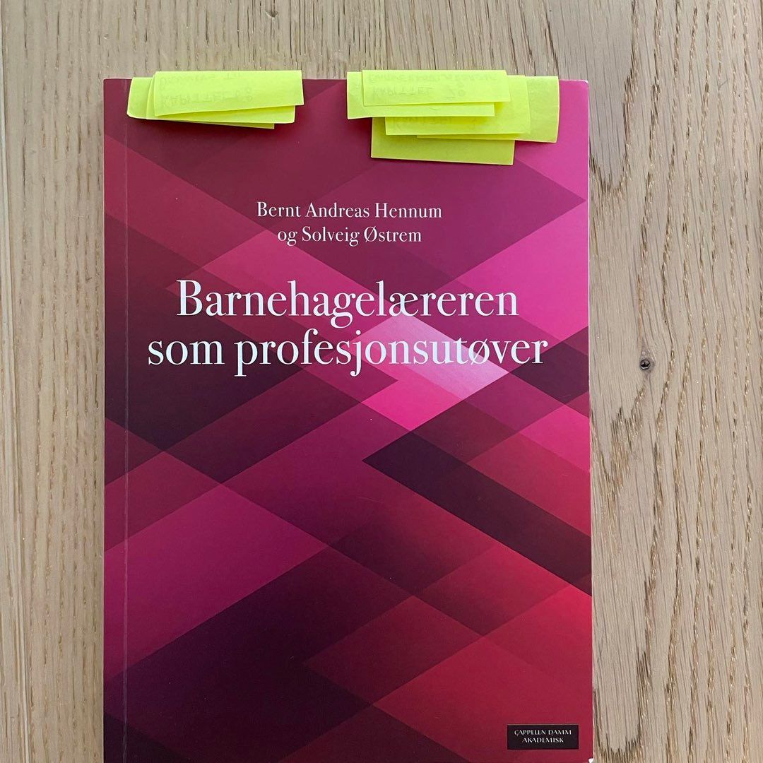 Barnehagelærerstudie