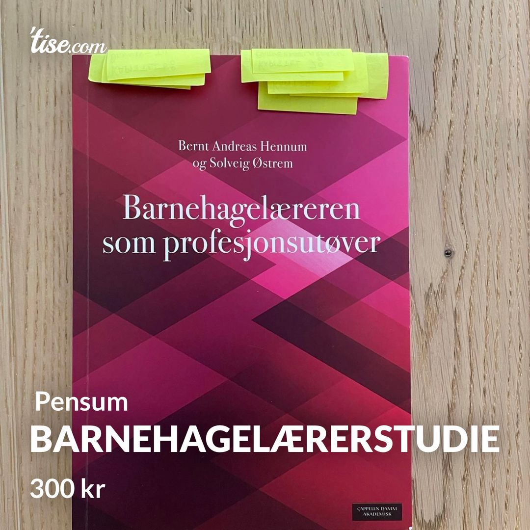 Barnehagelærerstudie