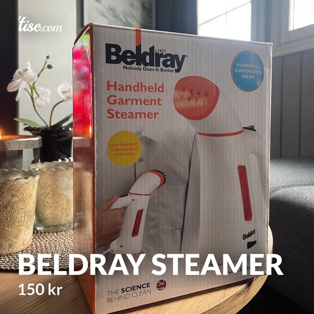 Beldray steamer