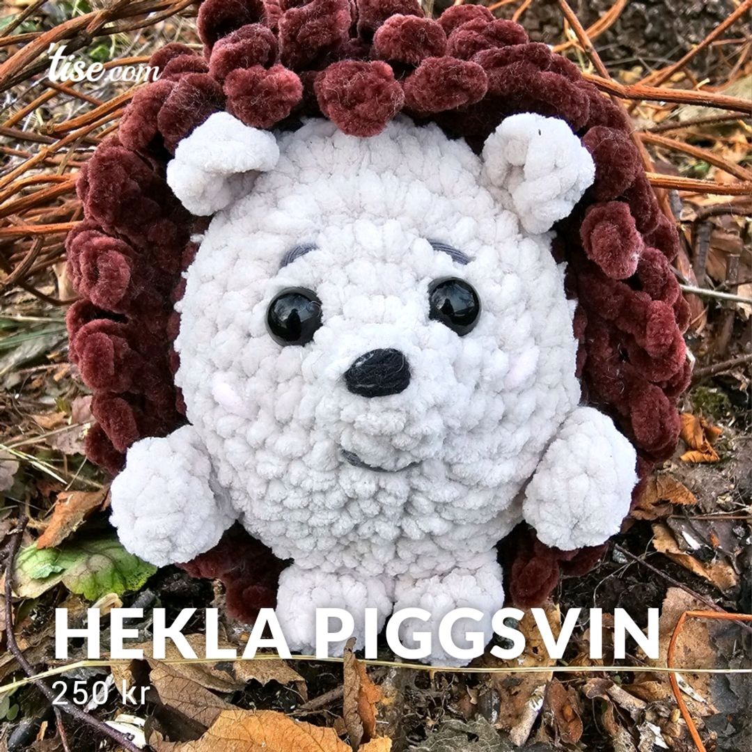 Hekla Piggsvin