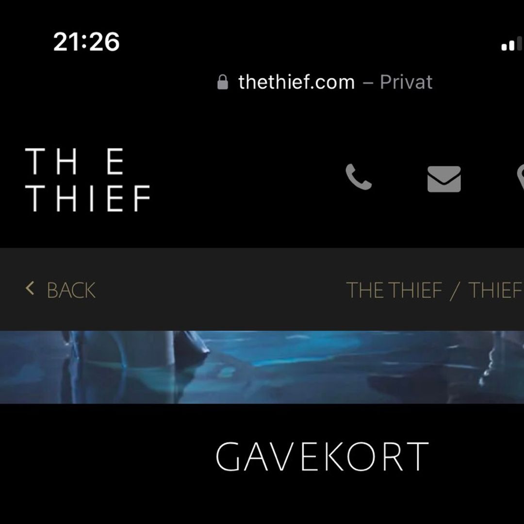 Gavekort: The Thief