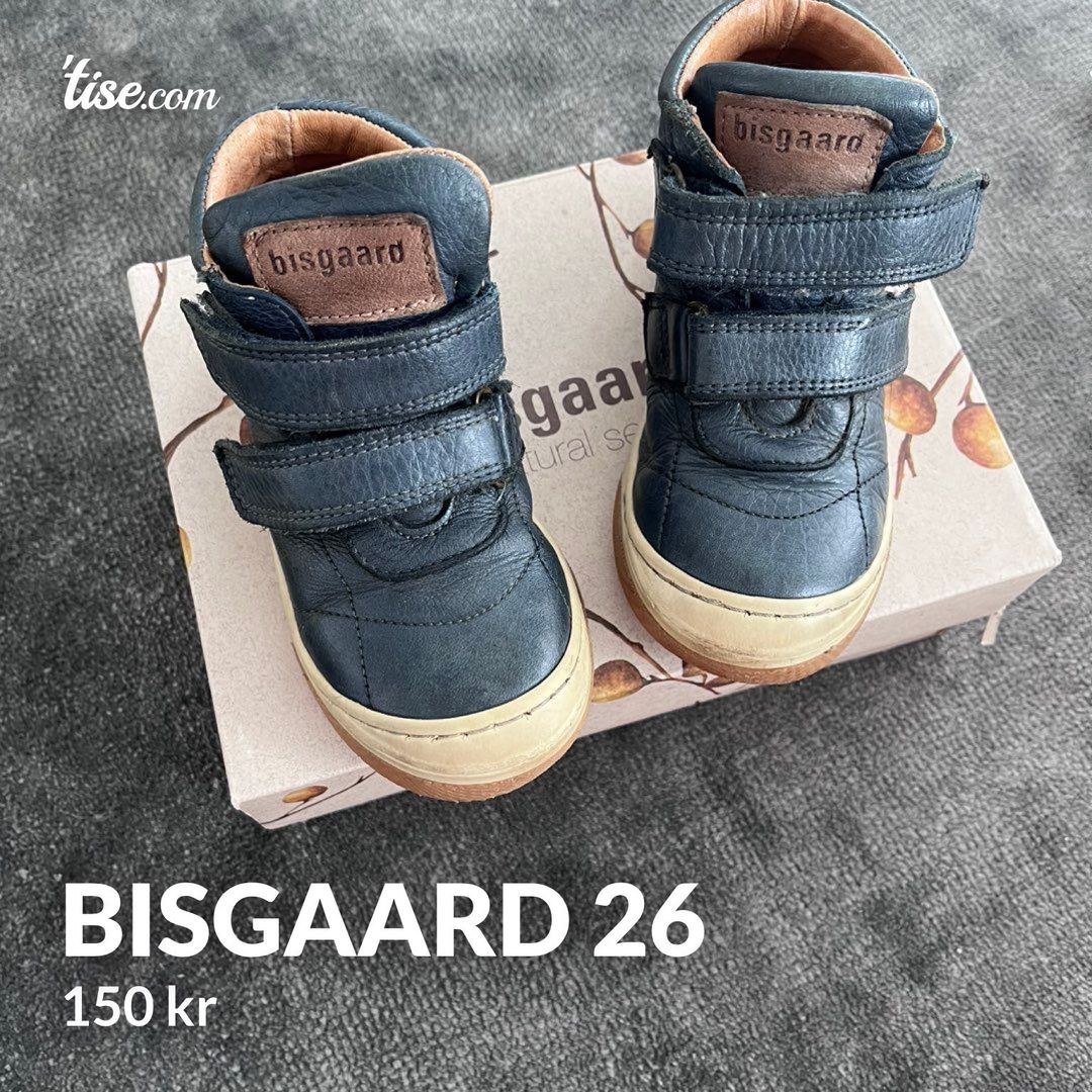 Bisgaard 26