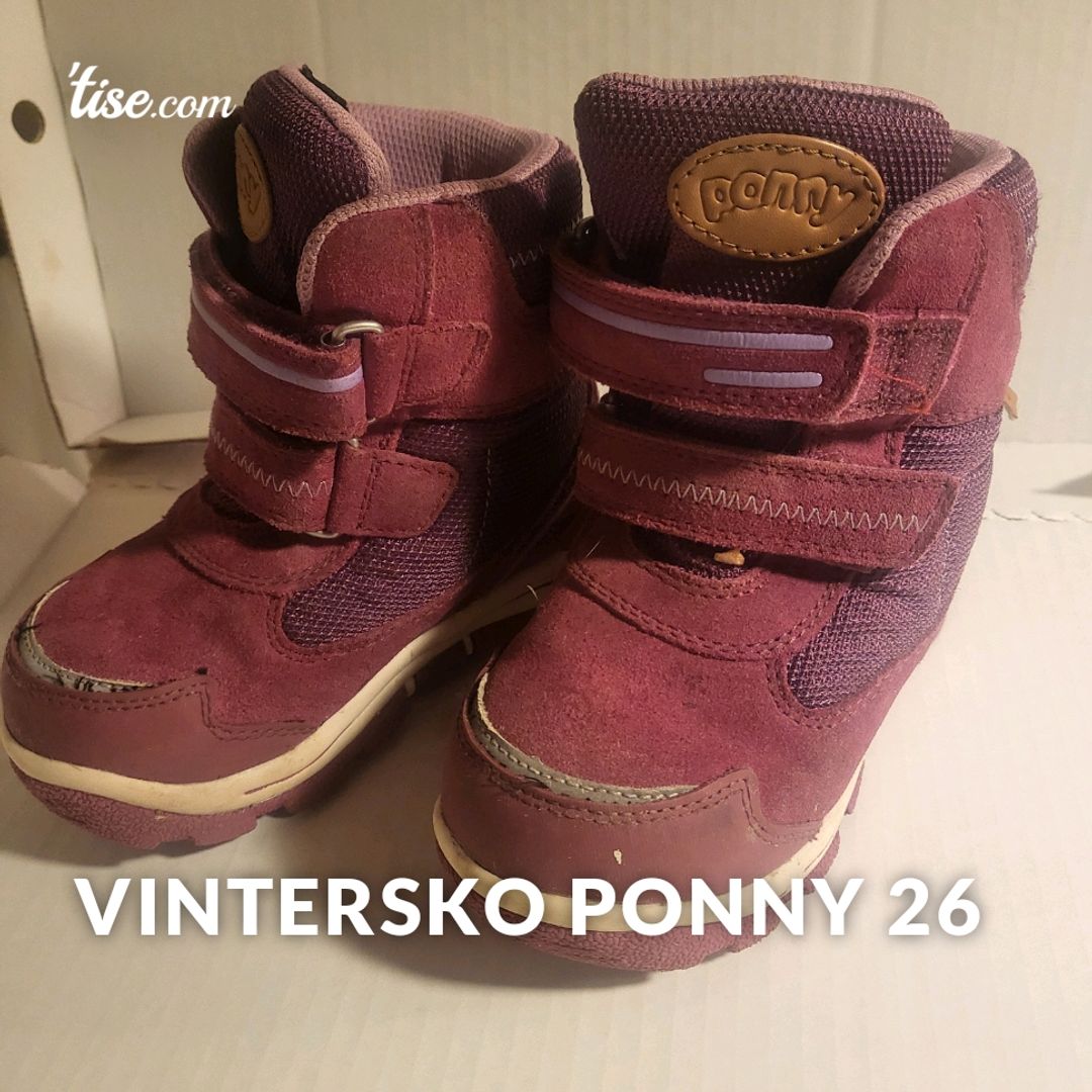 Vintersko Ponny 26