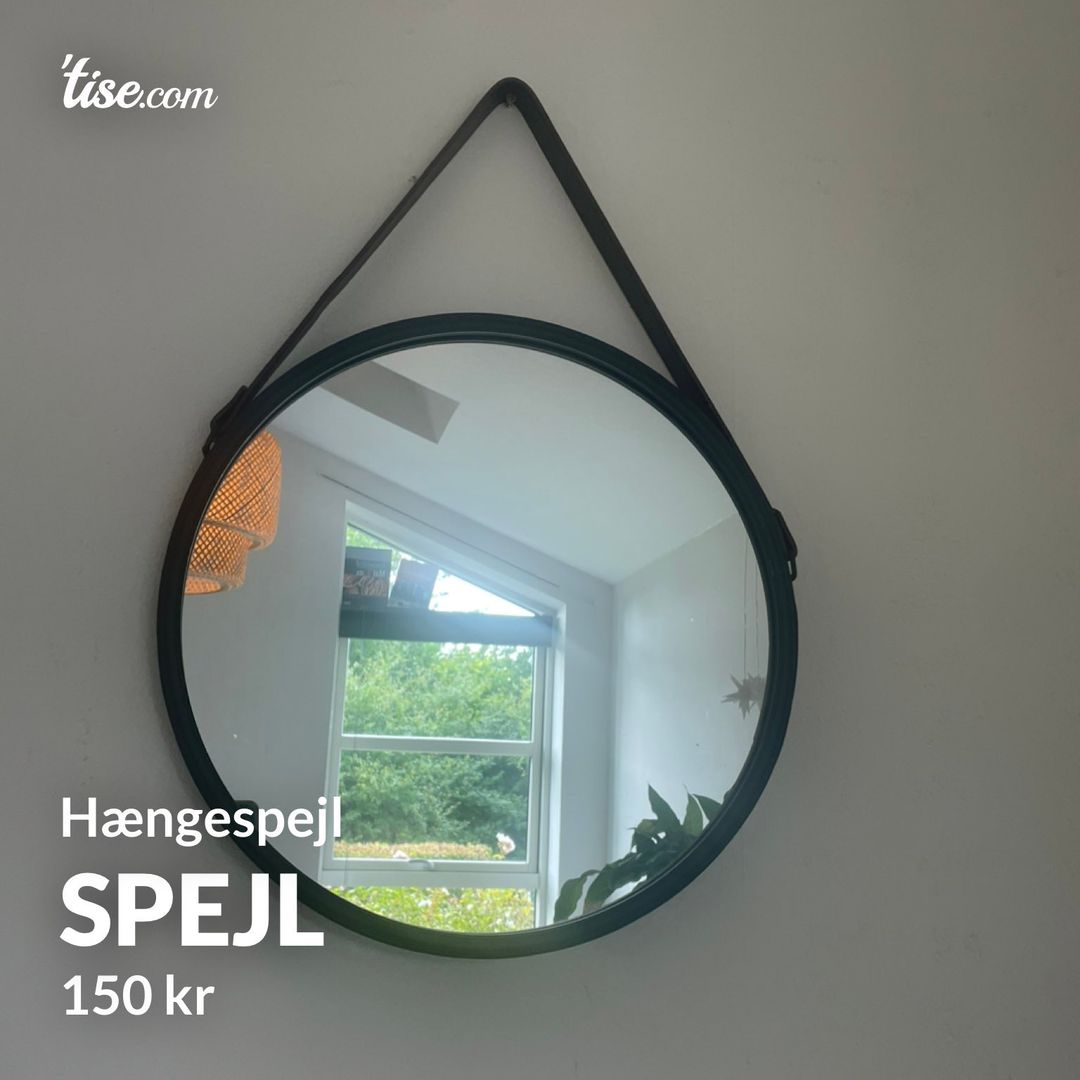 Spejl