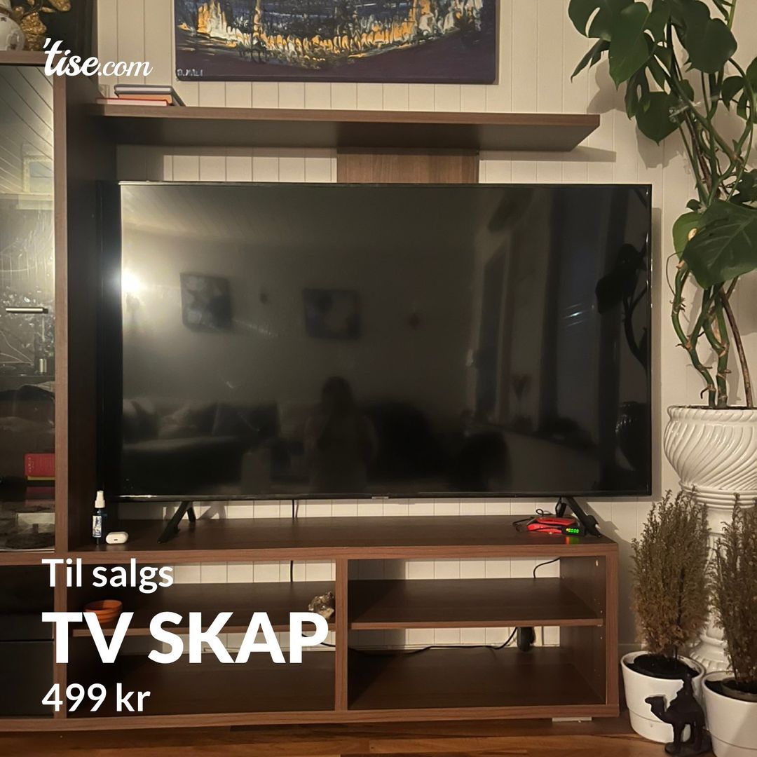 Tv skap