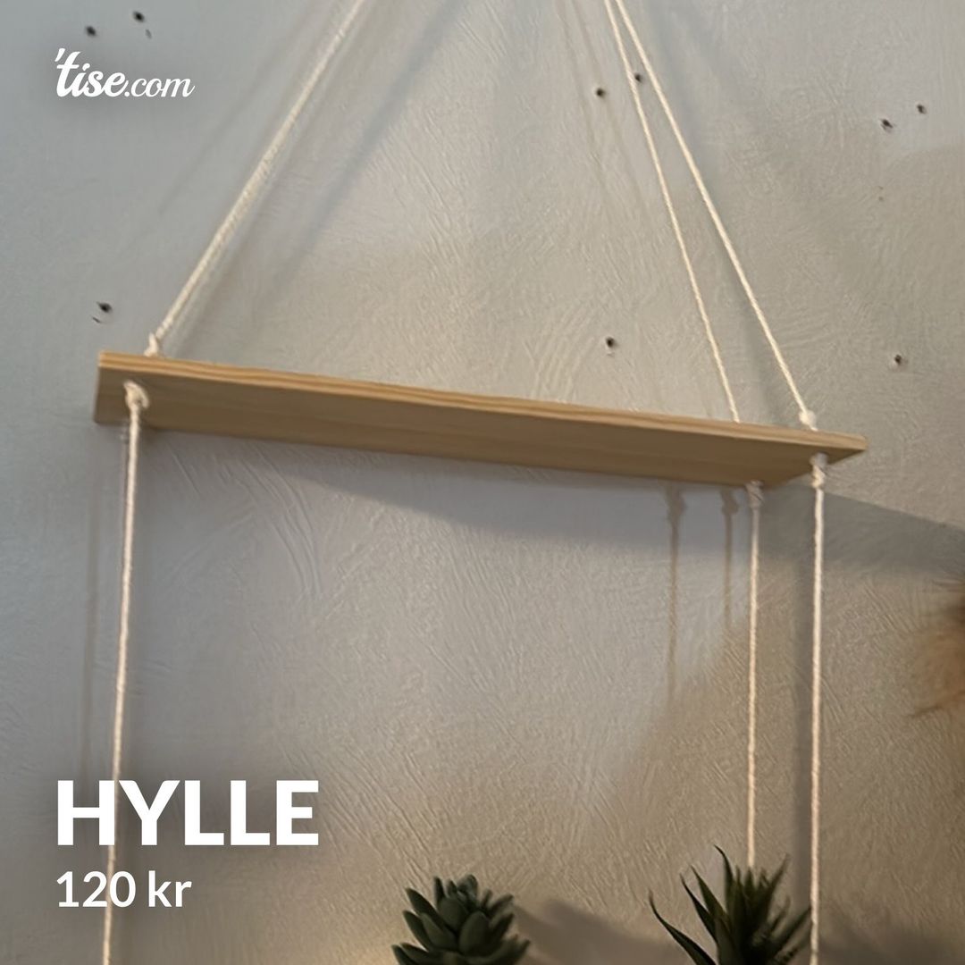 Hylle