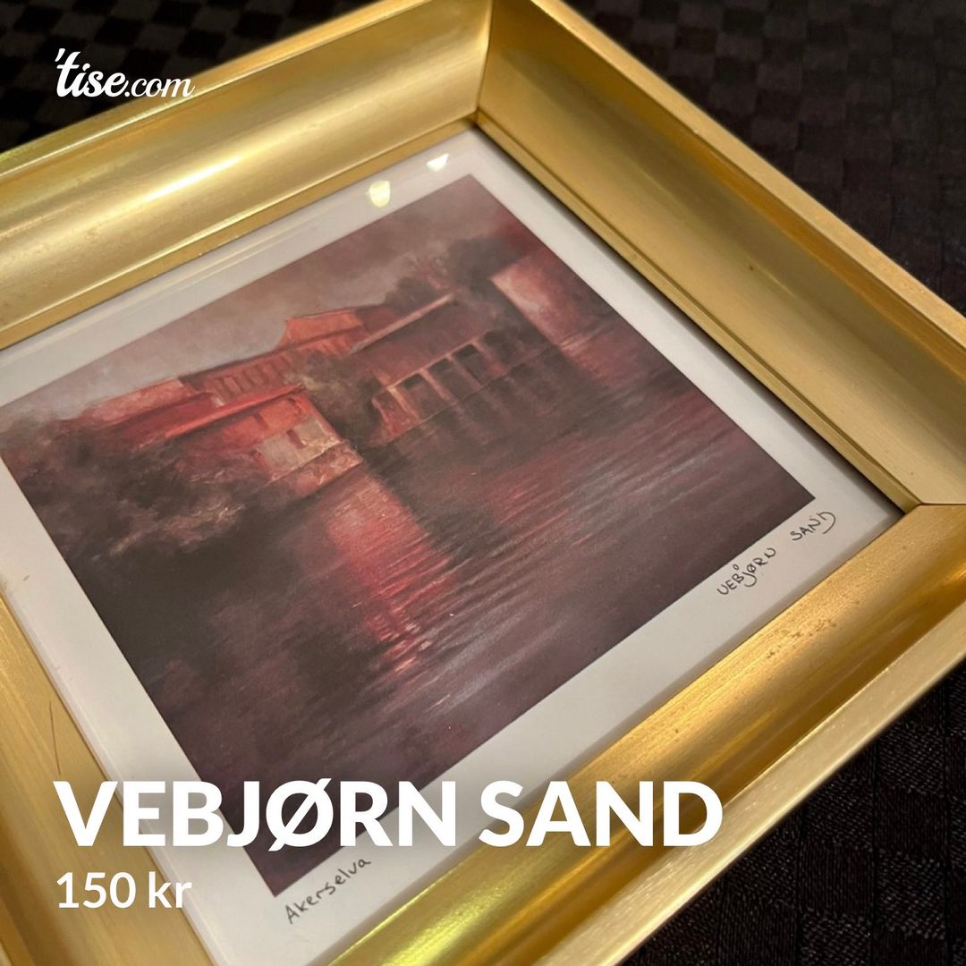 Vebjørn Sand