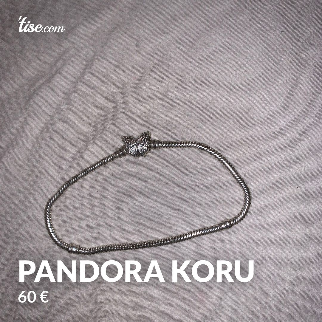 Pandora koru