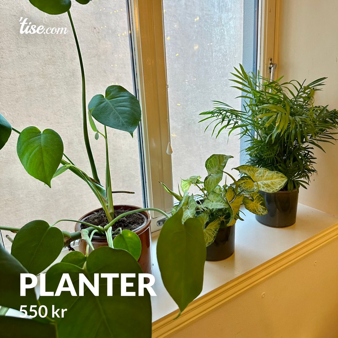 Planter