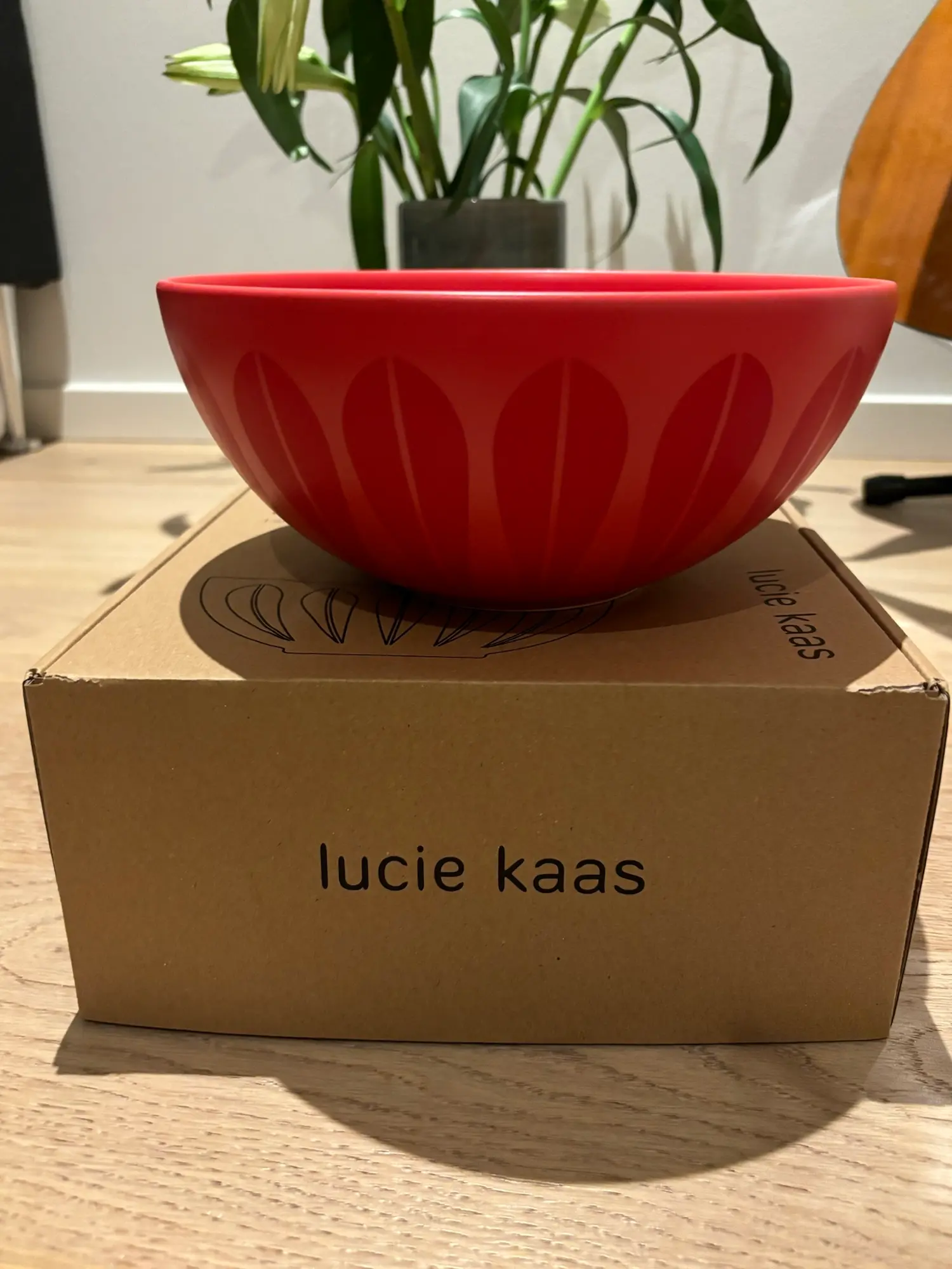 Lucie Kaas skål