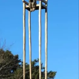 Skulptur