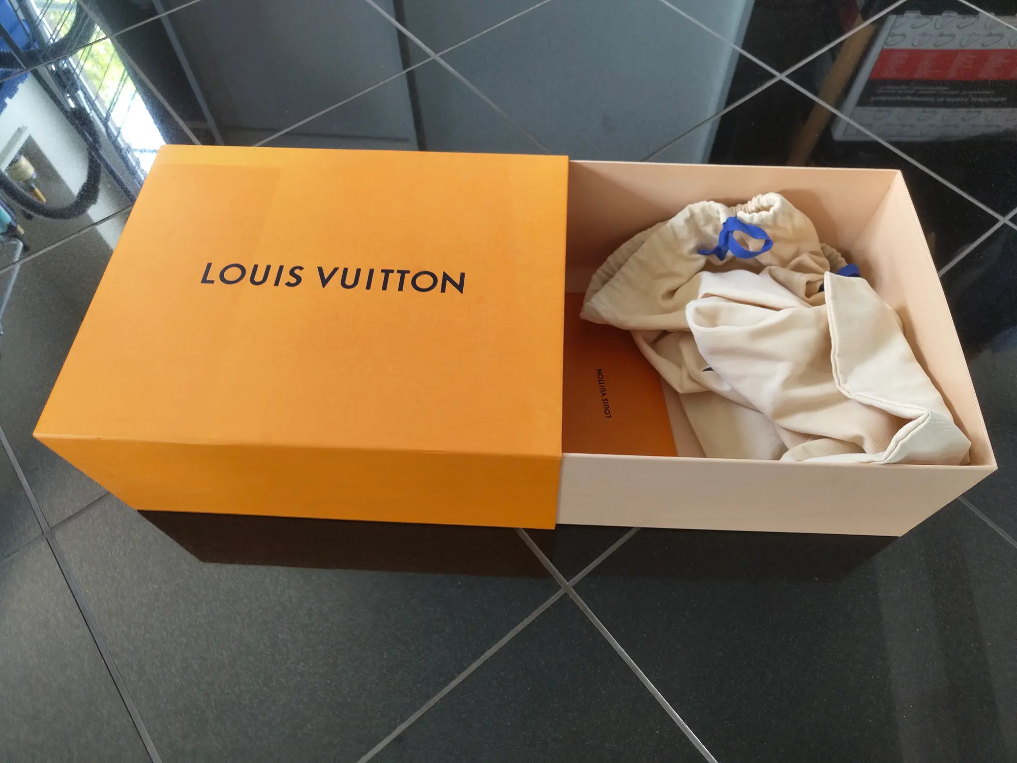 Louis Vuitton sneakers