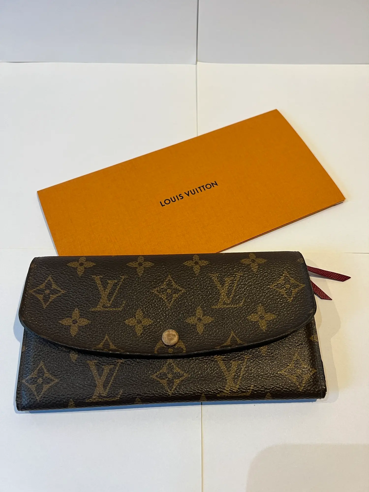 Louis Vuitton pung