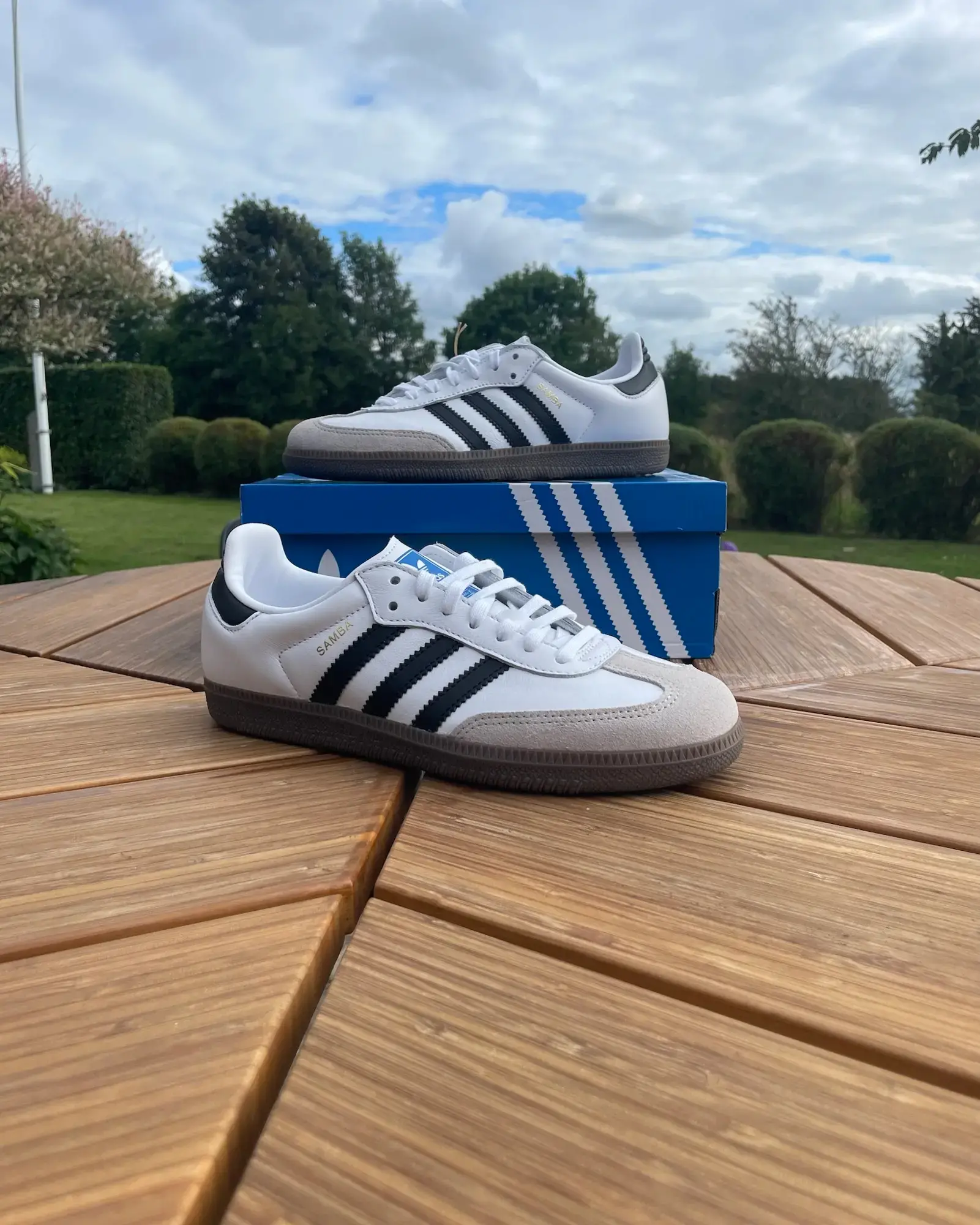 Adidas sneakers