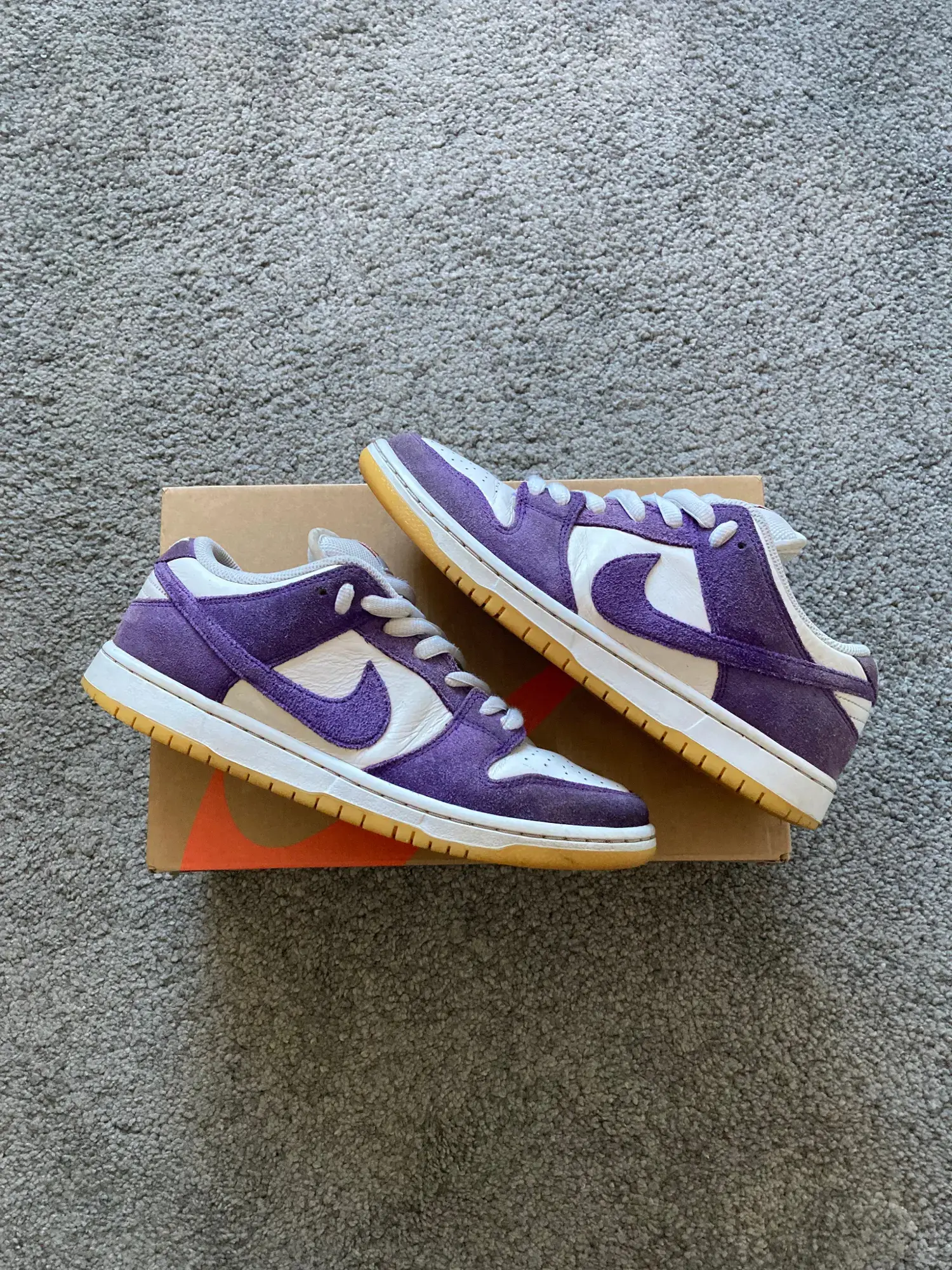 Nike Sb sneakers