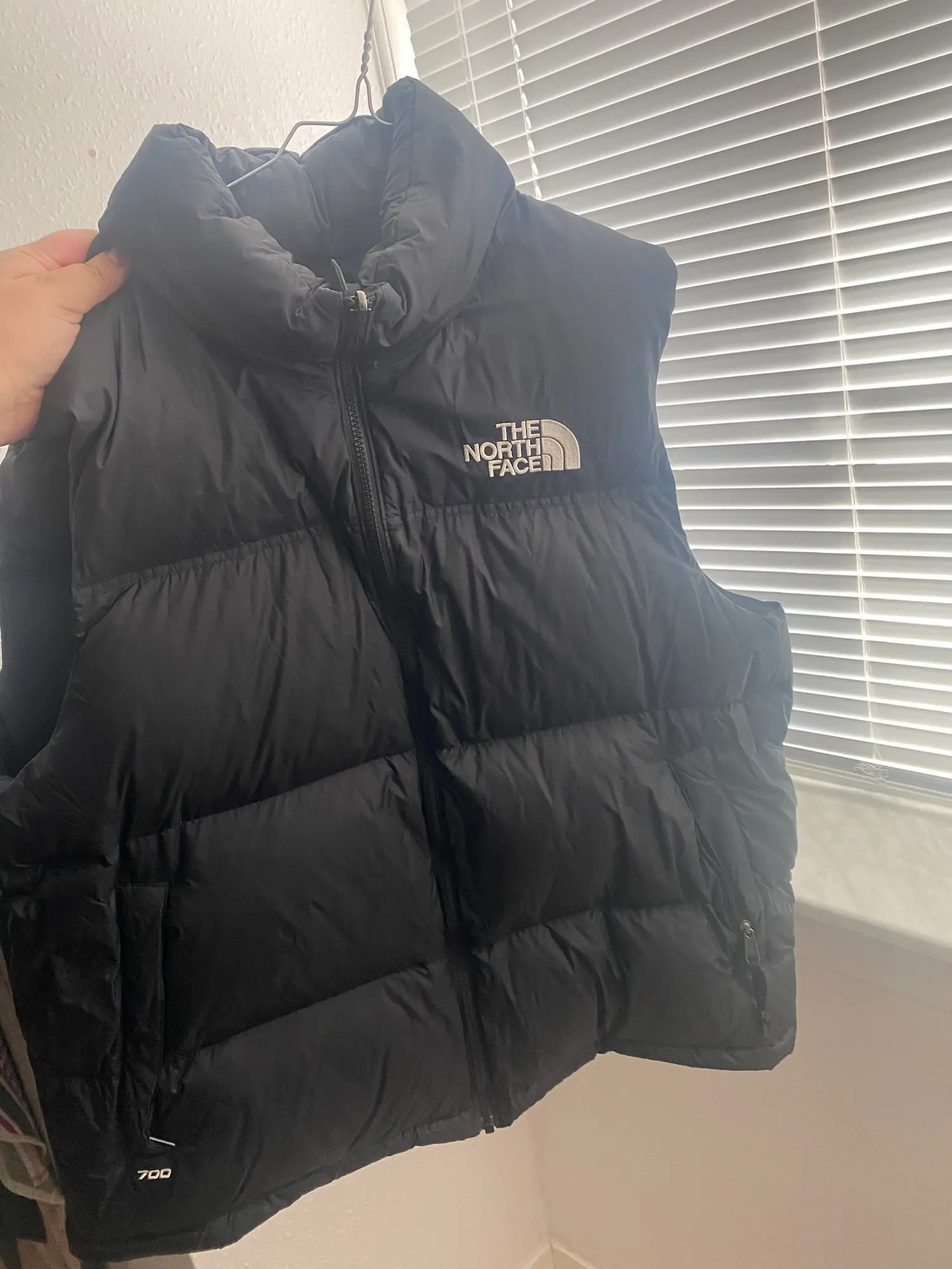 The North Face vest