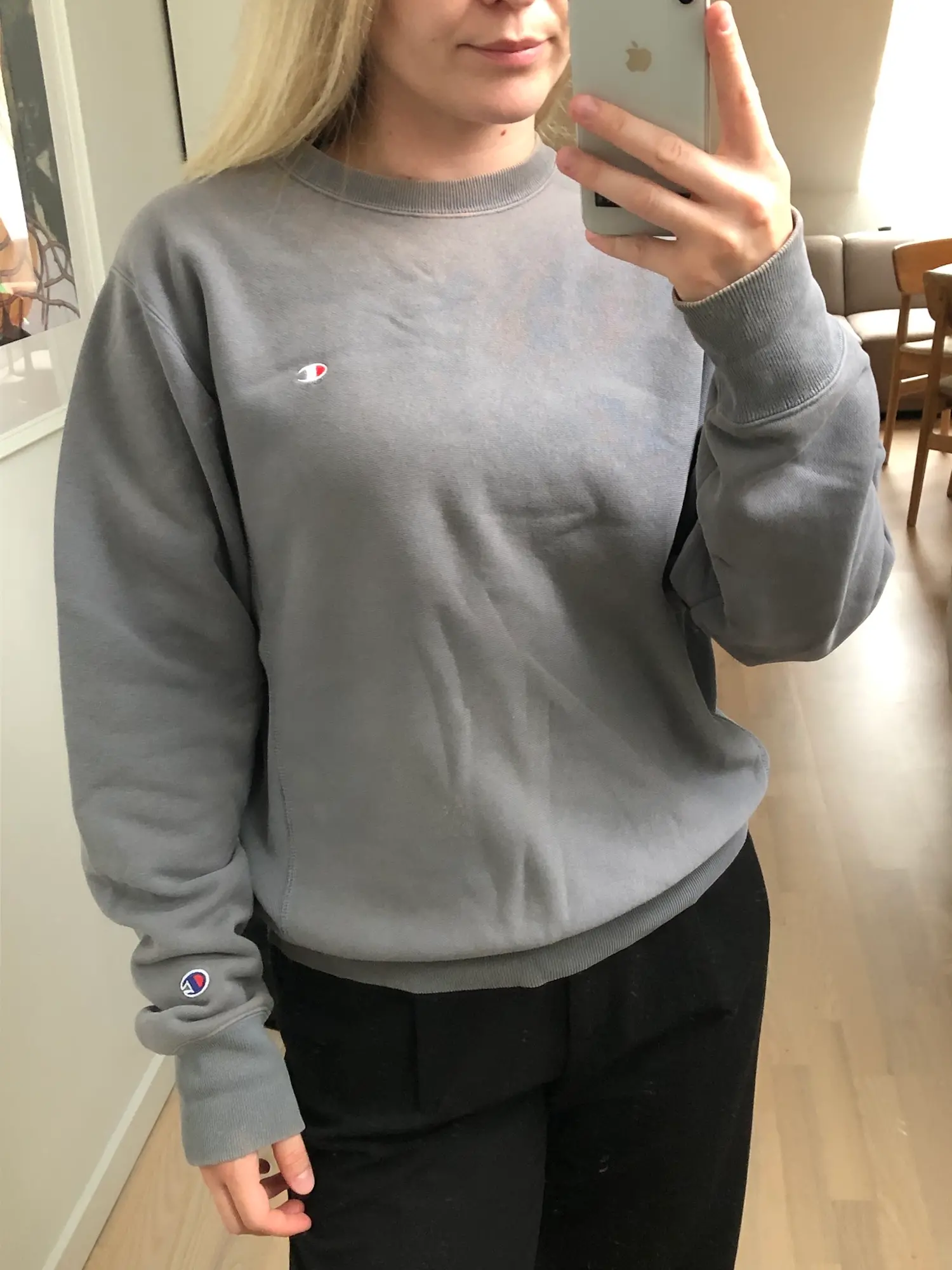 Champion sweatshirt