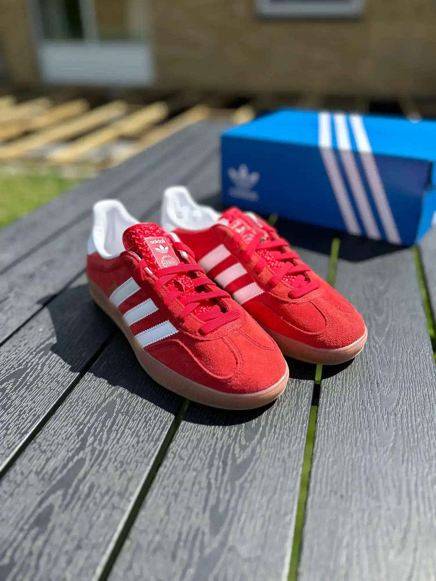 Adidas sneakers