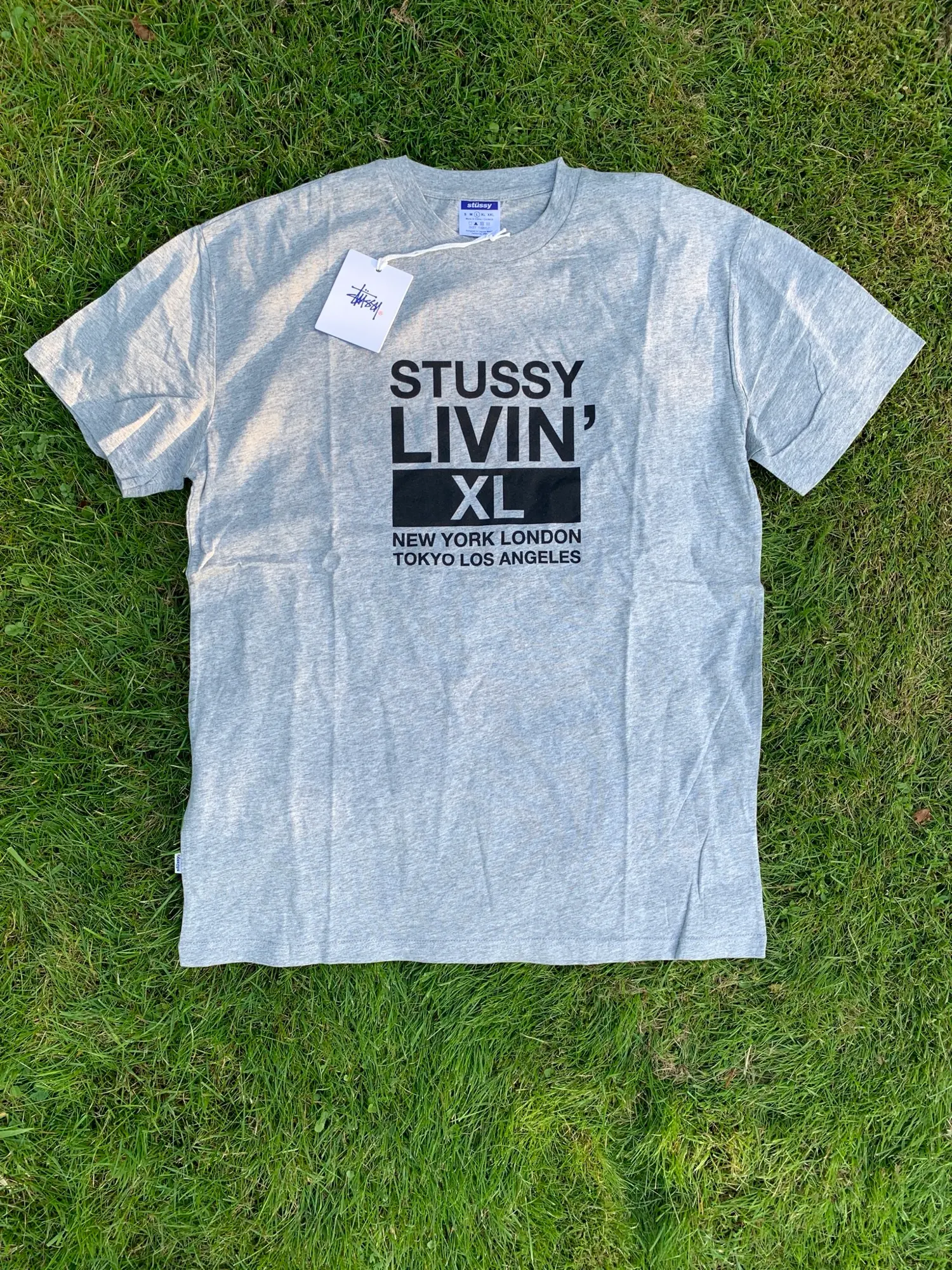 Stussy t-shirt