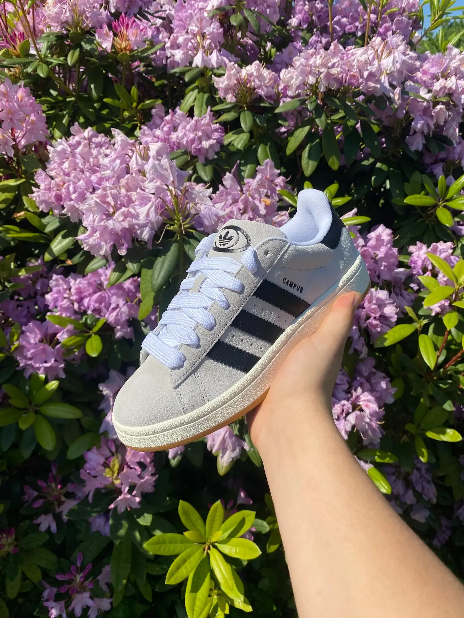 Adidas sneakers