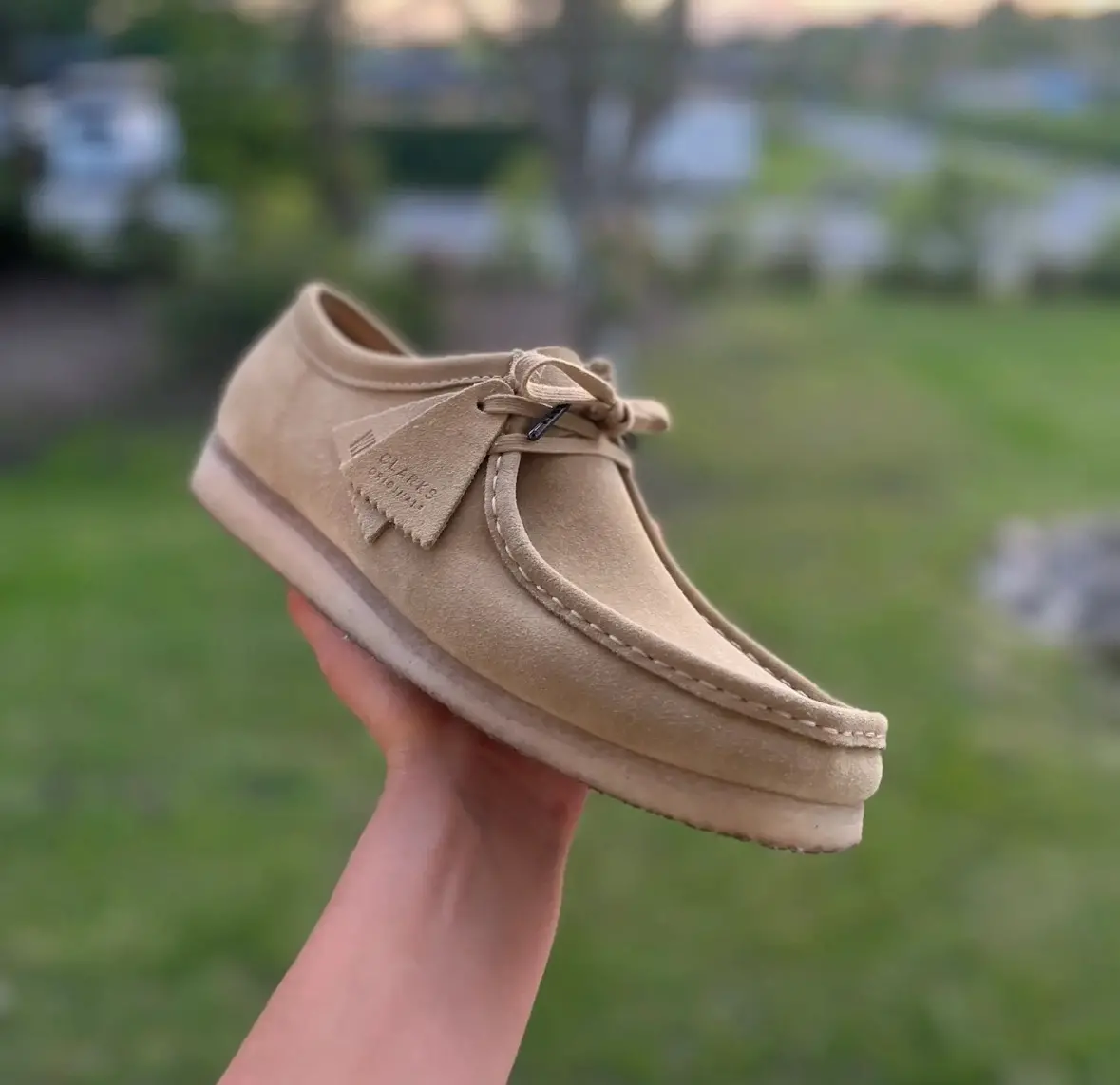 Clarks sneakers