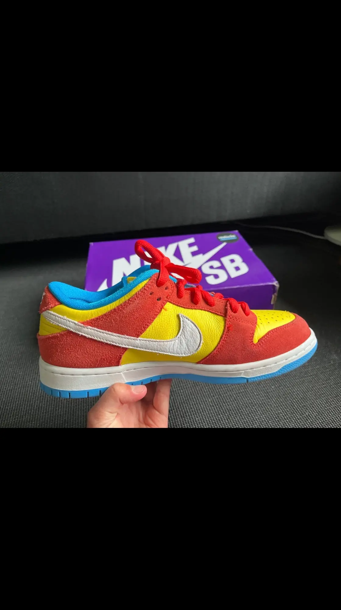 Nike Sb sneakers