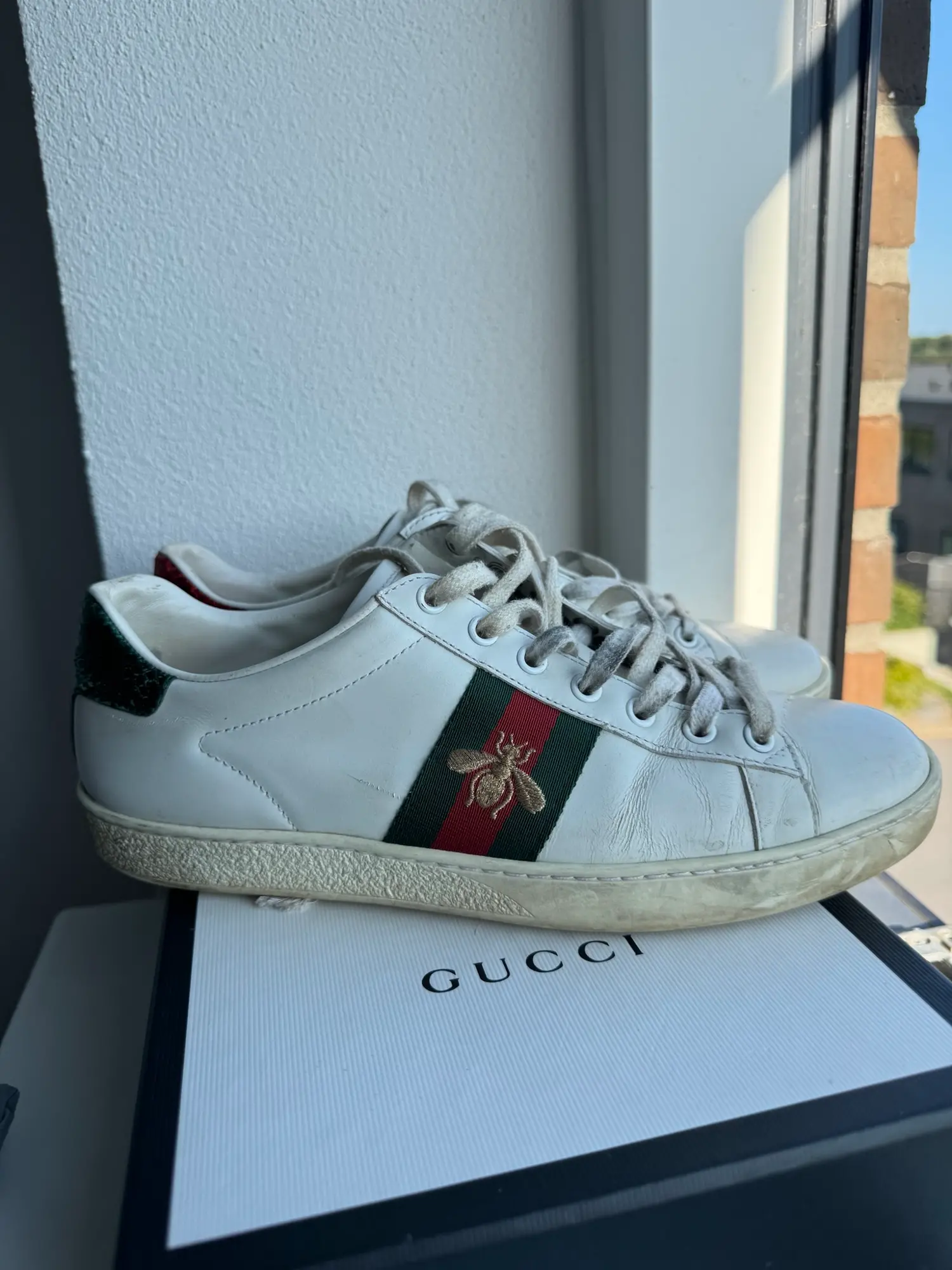 Gucci sneakers