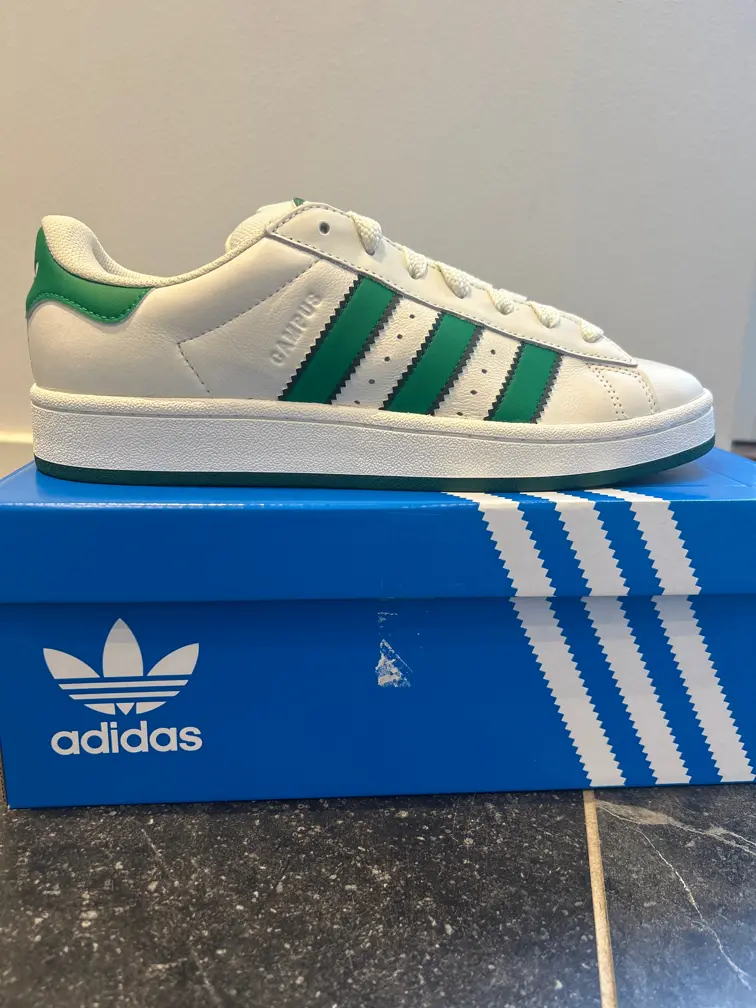 Adidas sneakers