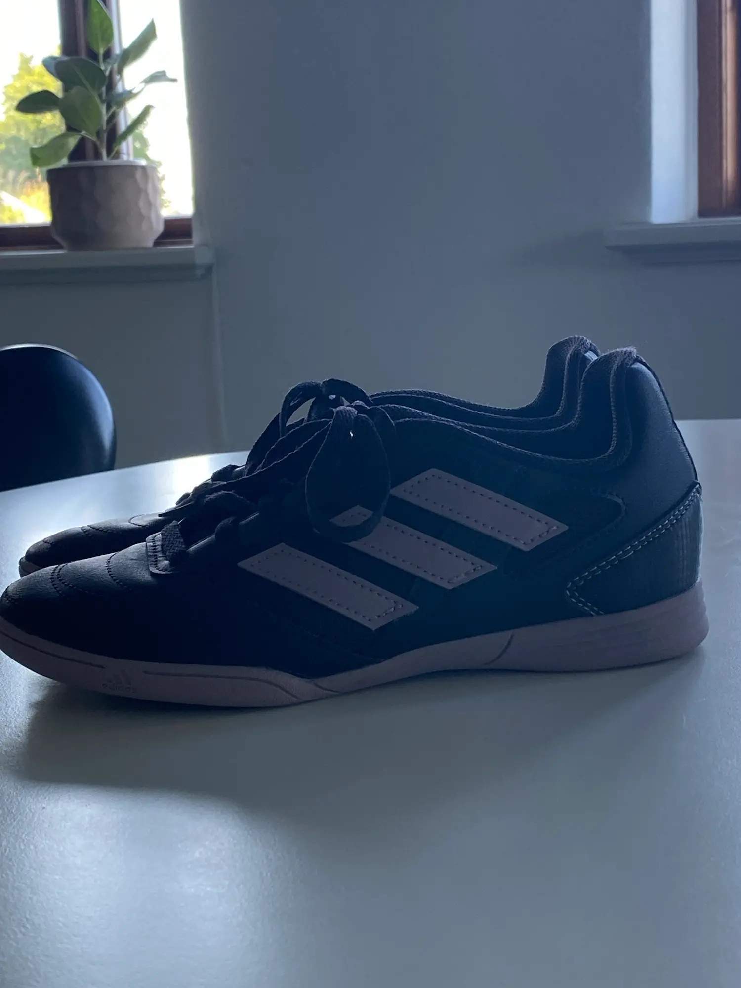 Adidas træningssko