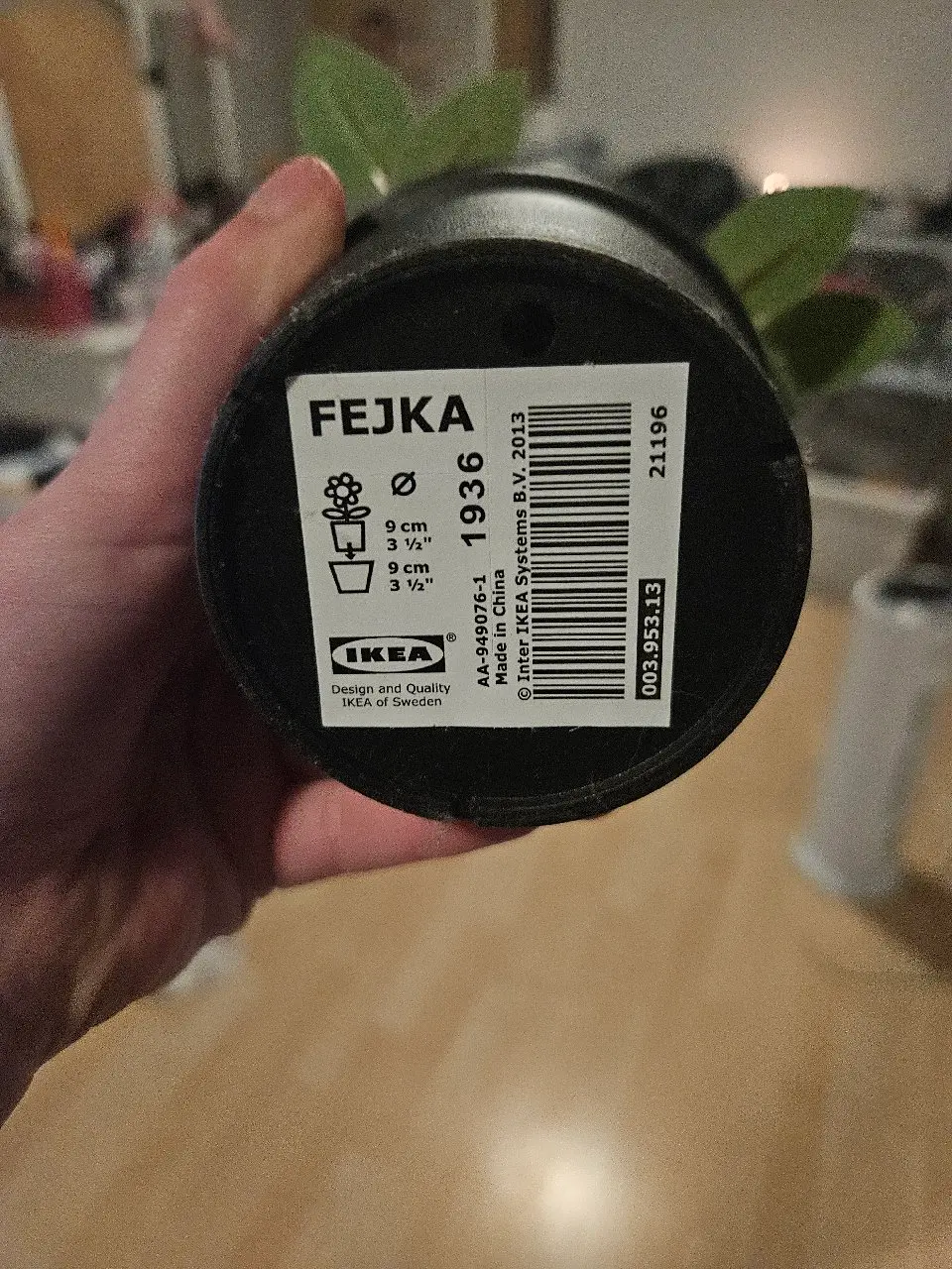 Ikea plante