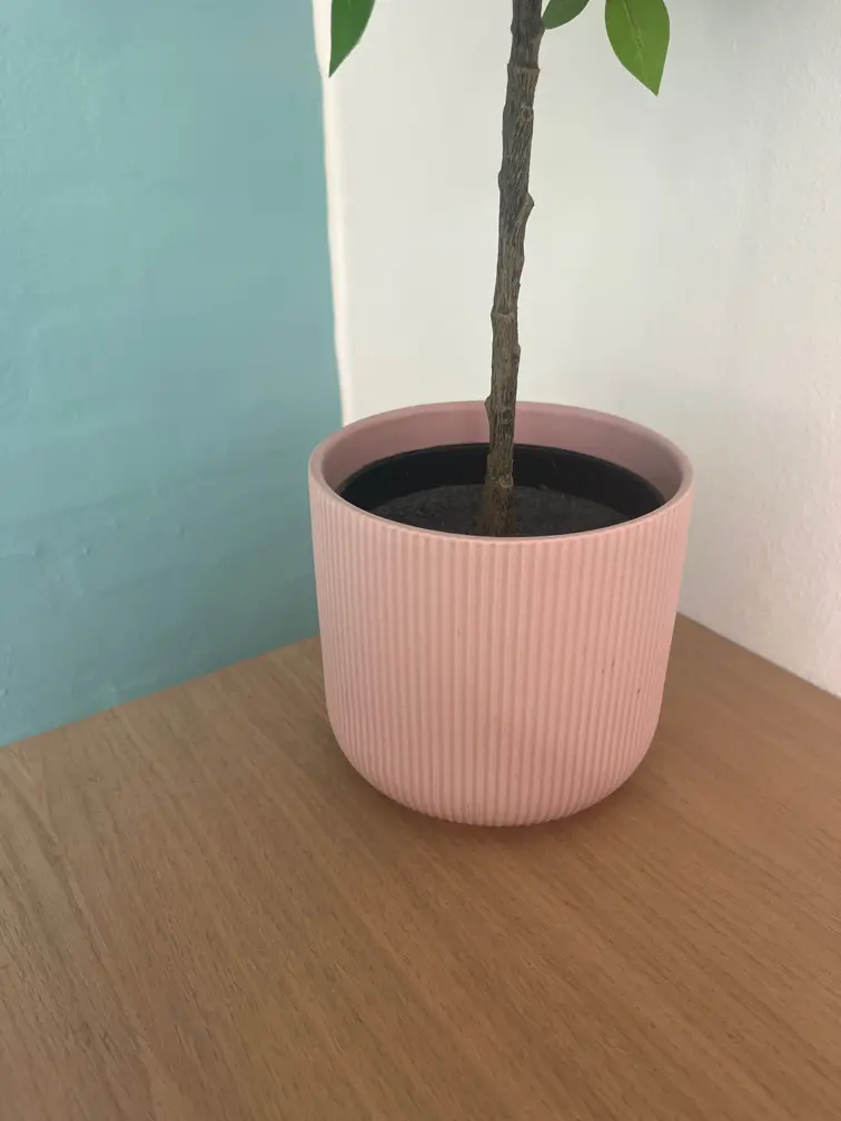 Ikea plante