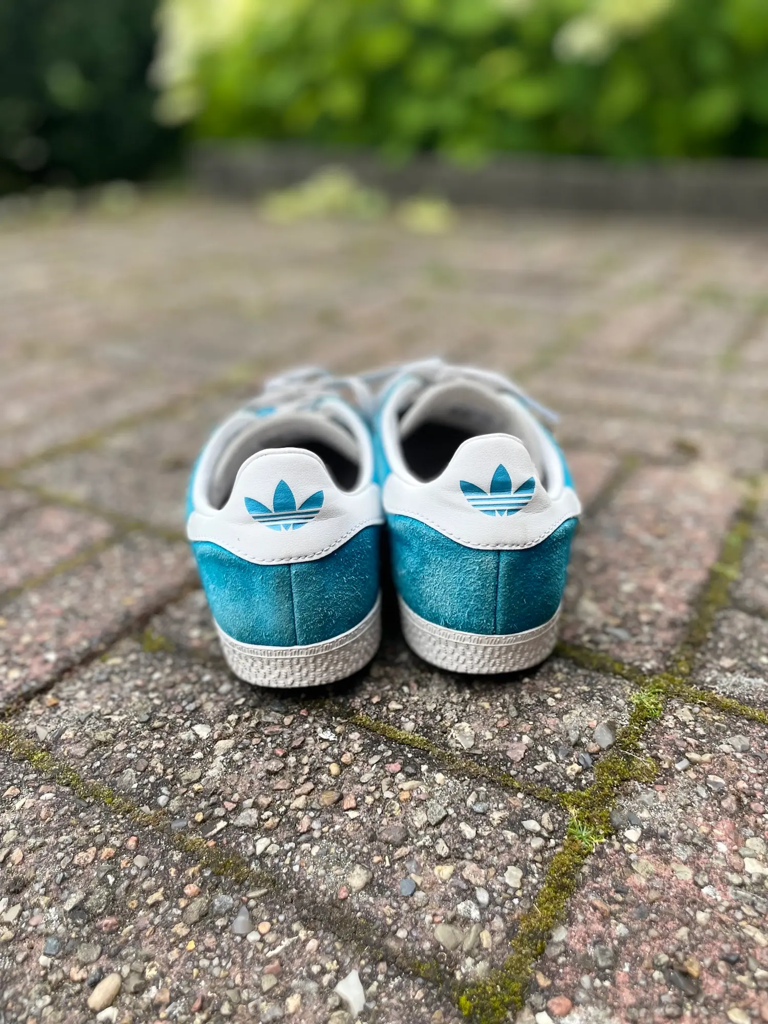 Adidas Originals andre sko  støvler