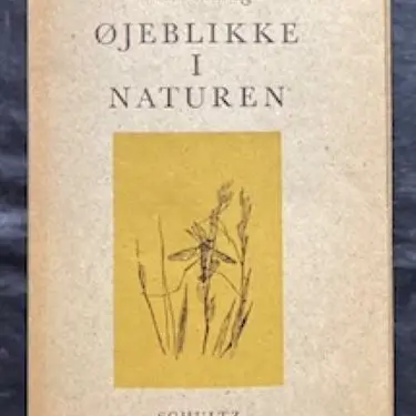 Skønlitteratur