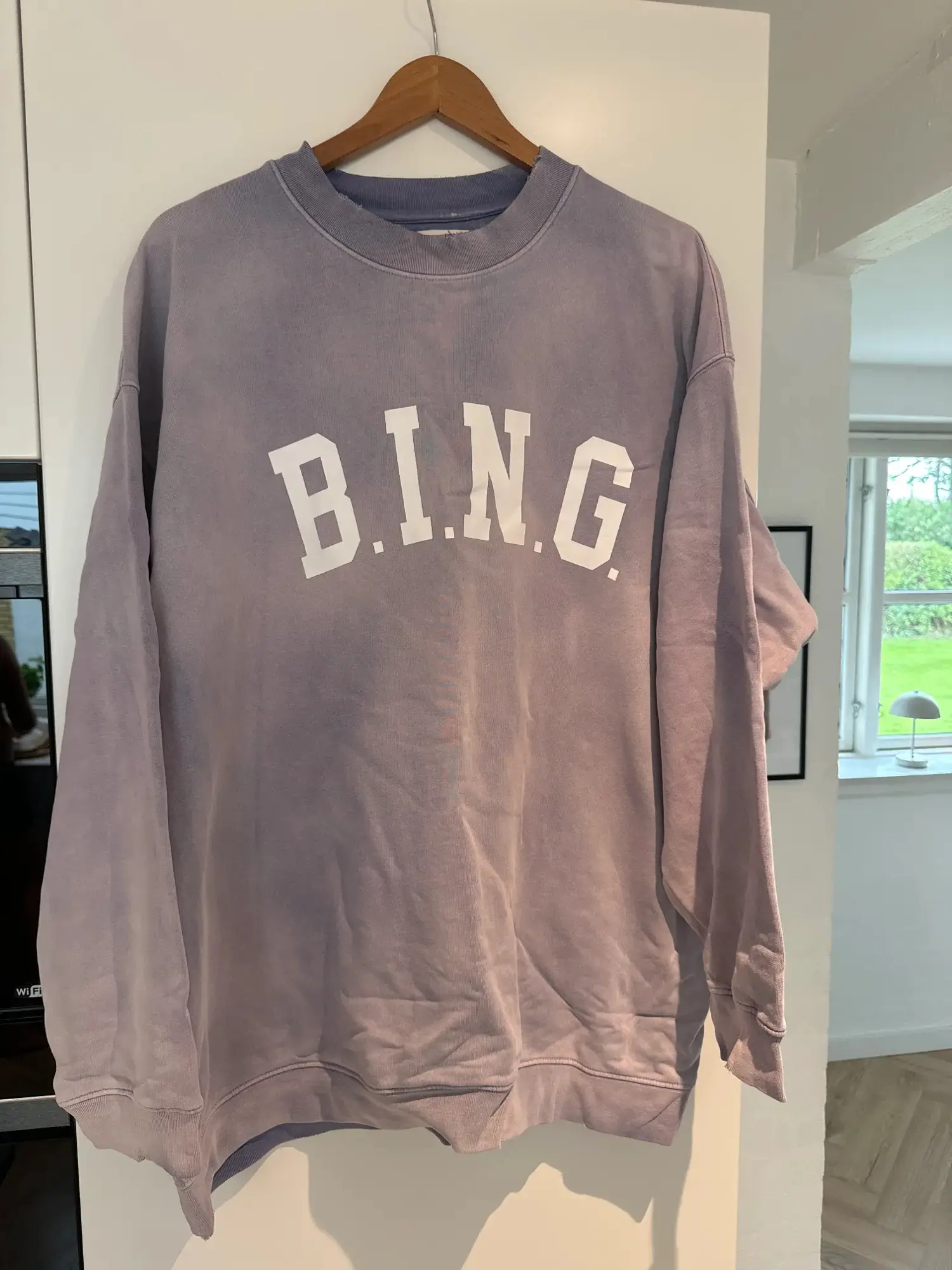 Anine Bing sweatshirt