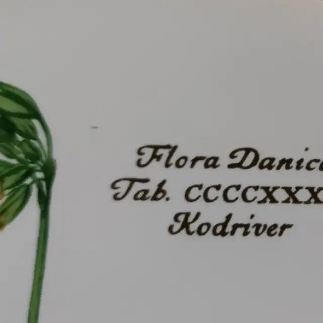 Flora Danica anden indretning