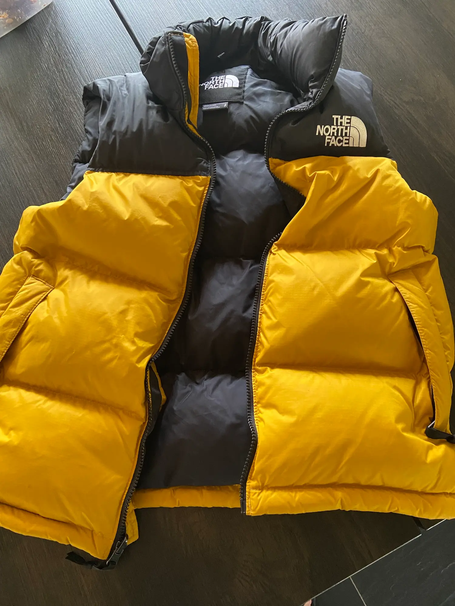 The North Face vest