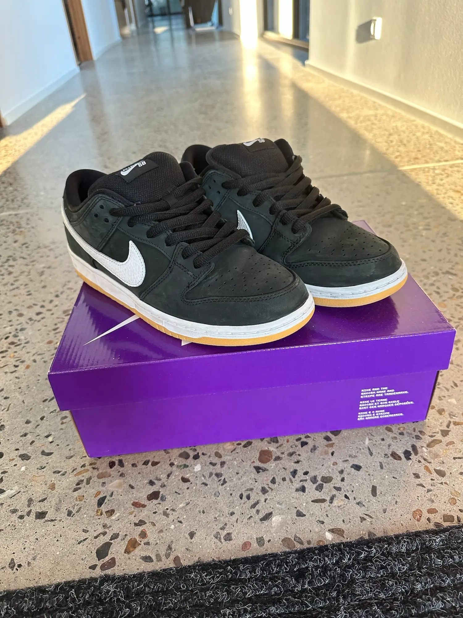 Nike Sb sneakers