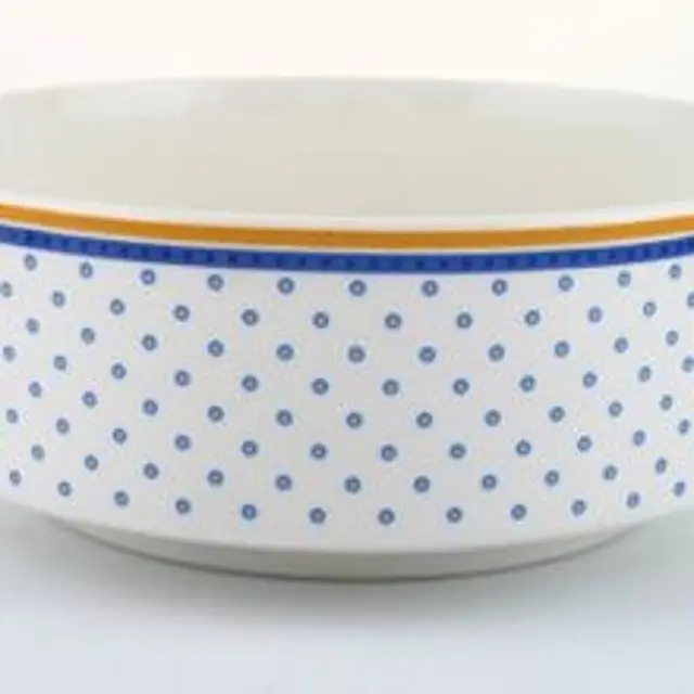 Villeroy & Boch skål