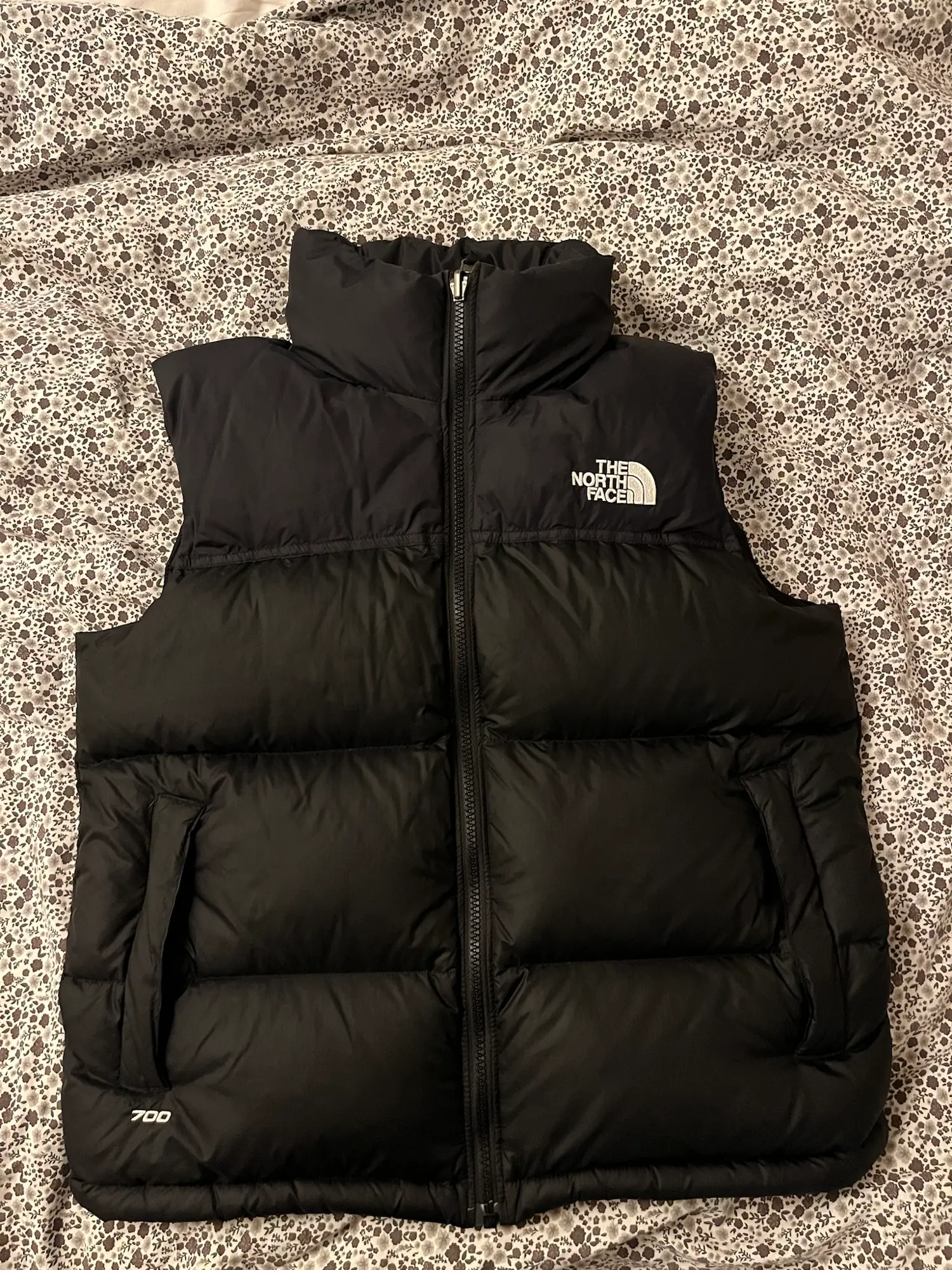 The North Face vest