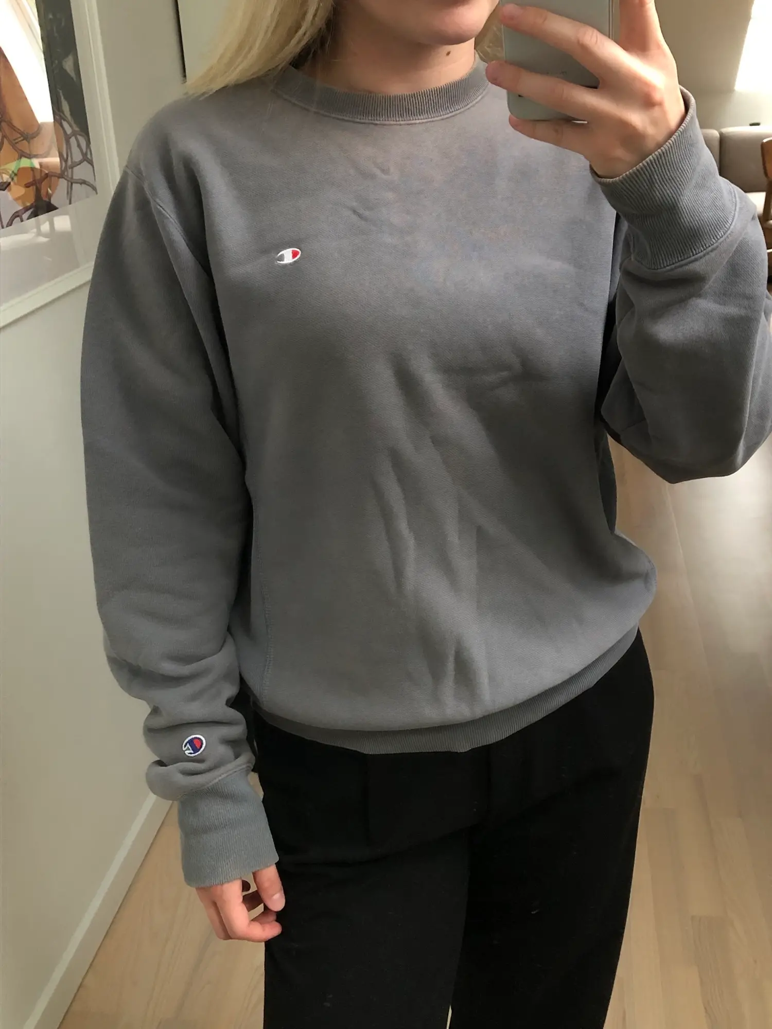 Champion sweatshirt